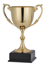 Prudential Nickel Plated Gold Cup