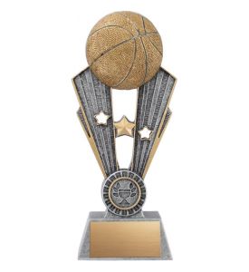 Resin Trophy Fame Basketball