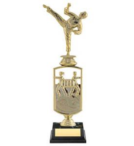 Sport Trophy Star Martial Arts Figure