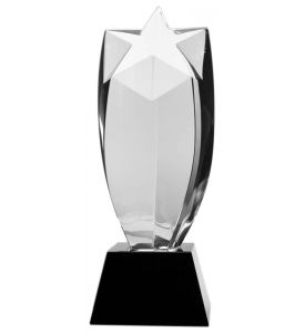 Regal Series Crystal Award