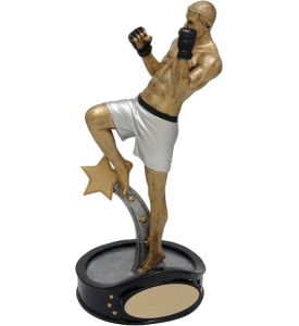 Male Martial Arts Resin
