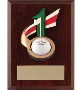 Hole in One Plaque