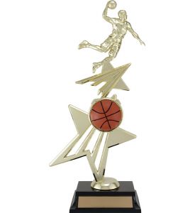 Star Power Series Basketball Riser 