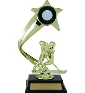 Achievement Hockey Trophy