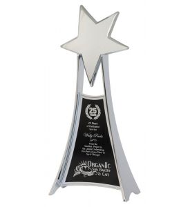 Star Awards Polished Silver
