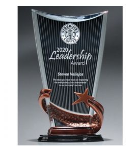Bronze Brillance Award