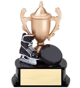 Resin Cup Themed Hockey
