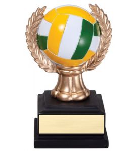 Wreath Sport Volleyball