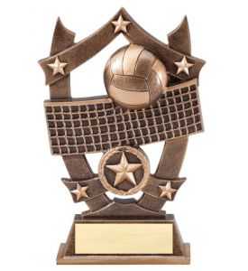 Shield Stars Resin Volleyball