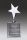 Star Awards Silver Crystal